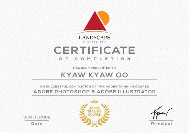 Adobe Photoshop & Illustrator